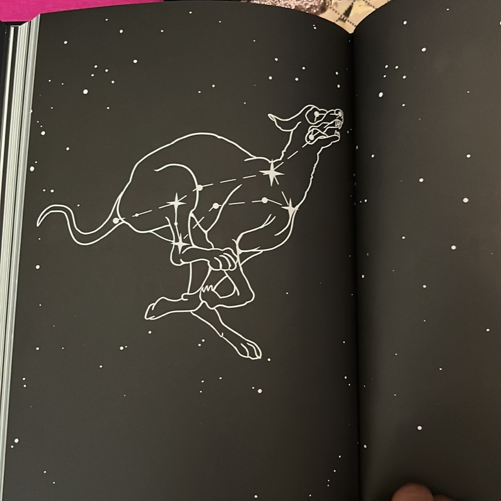 Zodiac Journal Bundle - Picture 3 of 16